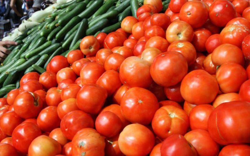 بكام الكيلو؟.. سعر قفص الطماطم اليوم الخميس 23 نوفمبر 2023 في الاسواق