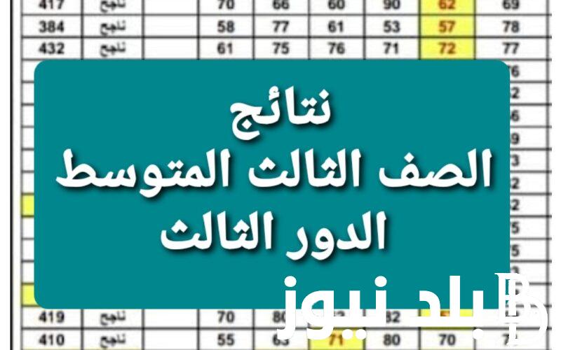 استعلام الآن نتائج الثالث متوسط 2023 الدور الثالث pdf عبر موقع وزارة التربية العراقية ونتائجنا