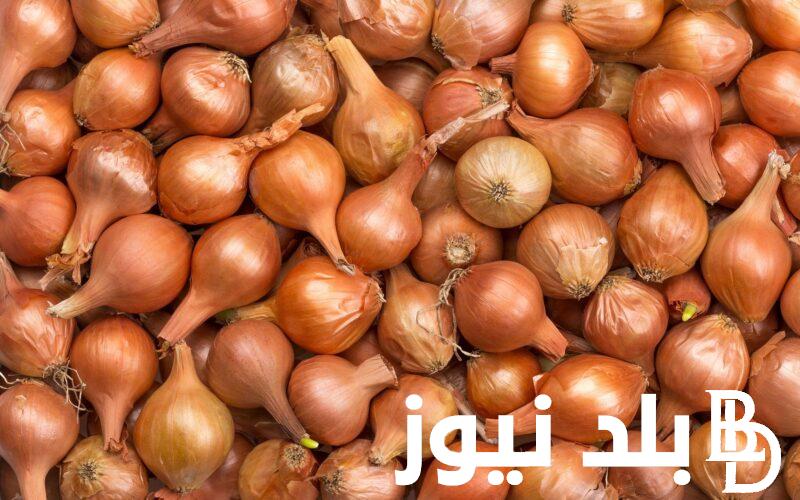 “البصل بكام؟” اسعار البصل اليوم بالطن الاربعاء 27 ديسمبر 2023 و أسعار الخضروات بمصر اليوم