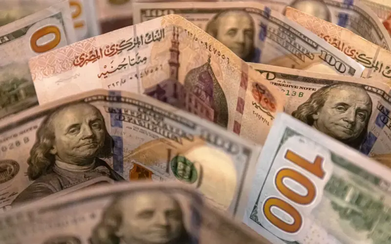 الدولار بكام؟.. سعر الدولار مقابل الجنيه المصري في السوق السوداء اليوم الاحد 31 ديسمبر 2023