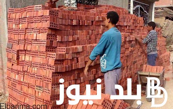 “الطوب شاط ” سعر الطوب الأحمر اليوم السبت 23 ديسمبر 2023 للمستهلك في مصر