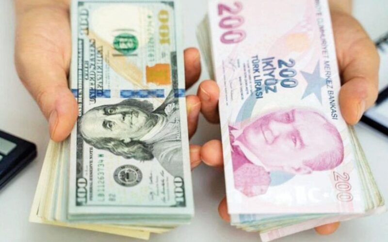 1000 دولار كم ليرة تركية.. سعر الدولار مقابل الليرة التركية في السوق السوداء