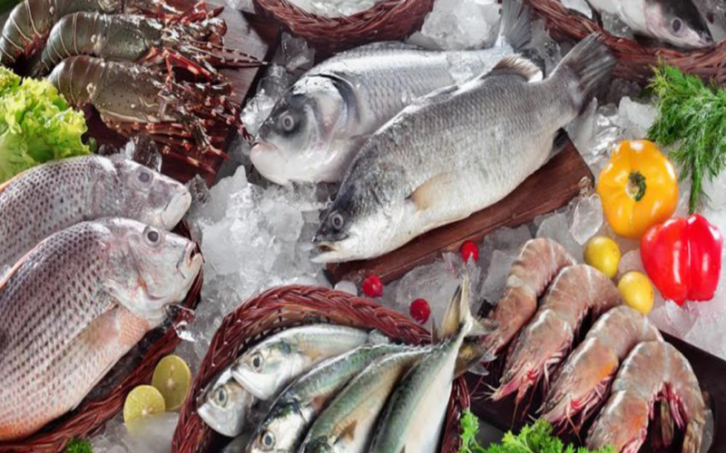 “السمكة بكام؟” اسعار السمك اليوم سوق العبور الثلاثاء 26-12-2023 للمستهلك في مصر