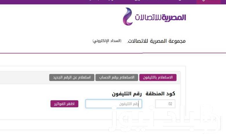 “مجانًا” الاستعلام عن فاتورة التليفون الارضي 2023 لشهر يناير عبر موقع المصرية للاتصالات billing.te.eg