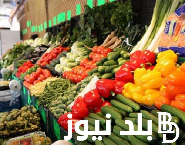 الكيلو بكام؟.. أسعار الخضار اليوم في سوق العبور السبت 30-12-2023 للمستهلك في مصر
