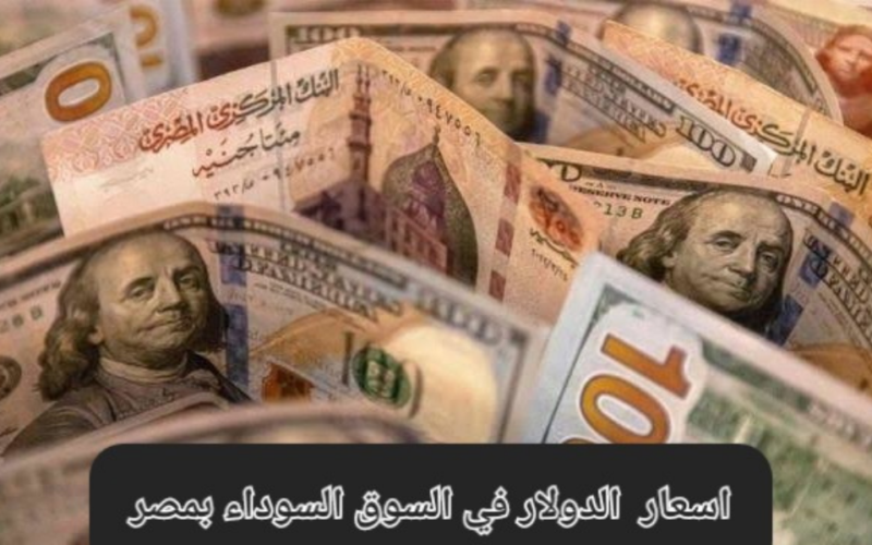 “نزيف جديد” سعر الدولار مقابل الجنيه السوق السوداء اليوم الجمعة 8 ديسمبر 2023 في مصر