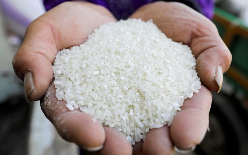 “انخفاض كبير هات وخزن” سعر طن الأرز الشعير اليوم الثلاثاء 19 ديسمبر 2023 للمستهلك في مصر