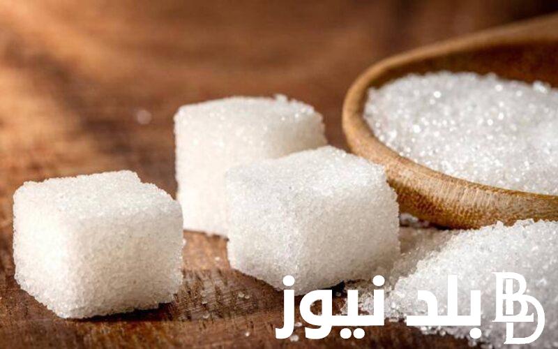 “هنحلي بإيه” سعر كيلو السكر اليوم السبت 23 ديسمبر 2023 الحكومة المصرية توضح انتهاء أزمة السكر