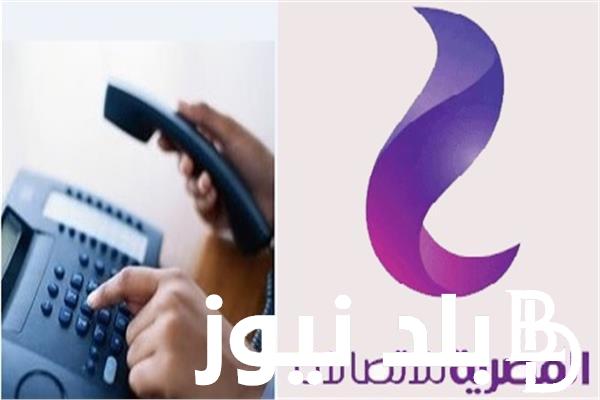 LINK الاستعلام عن فاتورة التليفون الأرضي بالرقم لشهر ديسمبر 2023 عبر موقع الشركة المصرية للاتصالات