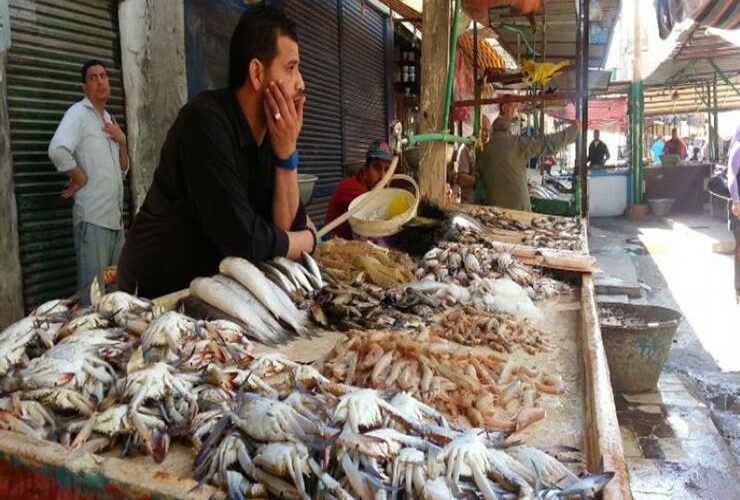 جدول أسعار السمك اليوم للمستهلك بتاريخ الإثنين 4/12/2023 في سوق العبور