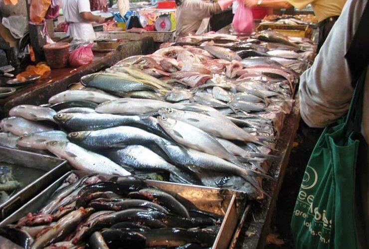 جدول أسعار السمك اليوم بسوق العبور الأحد 24-12-2023 للمستهلك في مصر