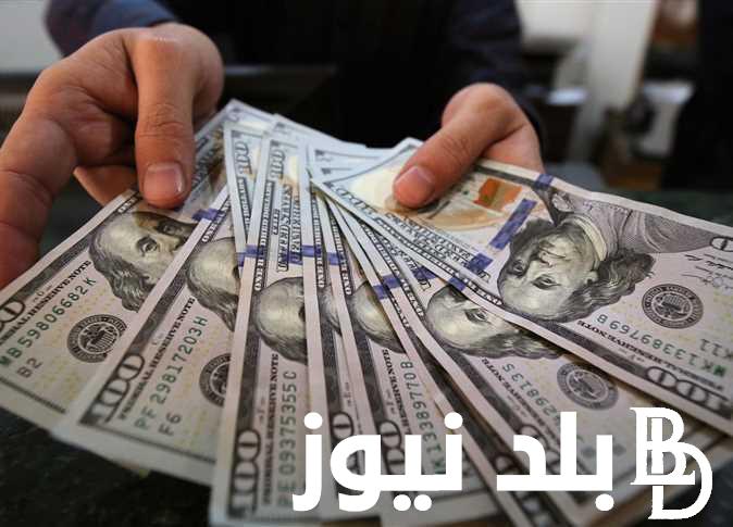 “الأخضر يضرب بقوة” سعر الدولار اليوم في مصر تحديث يومي السوق السوداء الأربعاء 6-12-2023