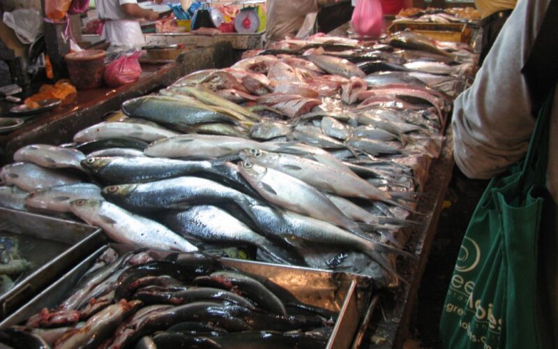 كم سعر السمك اليوم 4 ديسمبر 2023 بالكيلو في سوق العبور