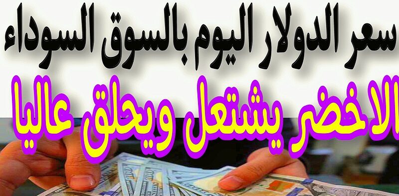 ” كارثة الدولار” سعر الدولار اليوم في السوق السوداء أمام الجنيه المصري وبجميع البنوك