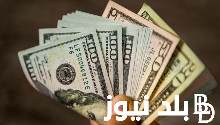 “الأخضر مولع” سعر الدولار مقابل الجنيه المصري في السوق السوداء اليوم الثلاثاء 5 ديسمبر 2023