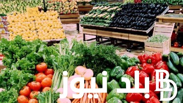 قائمة اسعار الخضروات والفاكهة 2023 اليوم الخميس 28 ديسمبر في سوق العبور