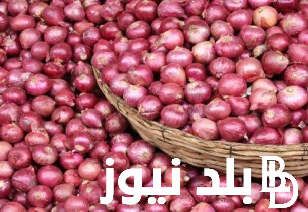 “اشتري دلوقتي” أسعار البصل اليوم في سوق العبور واسعار الخضراوات والفاكهة