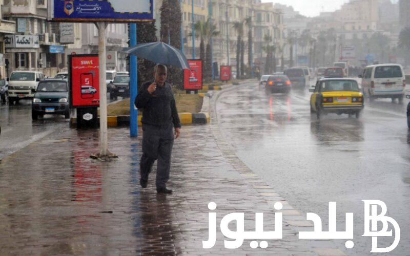 “حقيقة أم إشاعة” حقيقة تعطيل الدراسة في القاهرة والاسكندرية لسوء الاحوال الجوية