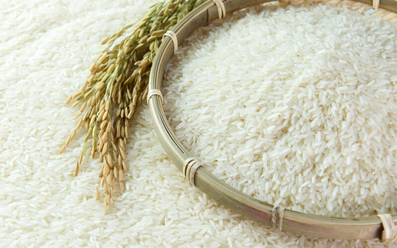 “الكيلو بـ30 جنيه” انخفاض سعر طن الأرز الشعير اليوم الاثنين 17 ديسمبر 2023 في أسواق الجملة وتراجع الأرز الأبيض للمستهلك