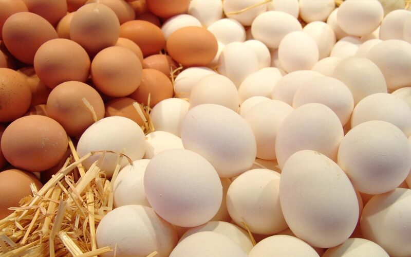 “البيضة على كام؟” سعر كرتونة البيض اليوم الأحد 17 ديسمبر 2023 في بورصة الدواجن وأسواق التجزئة للمستهلك