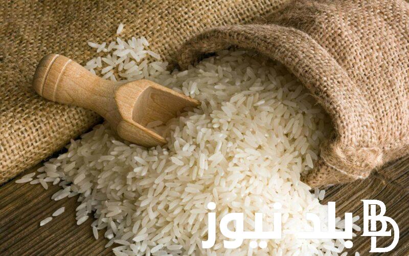 سعر طن الأرز الشعير اليوم الثلاثاء 26 ديسمبر 2023 بالأسواق