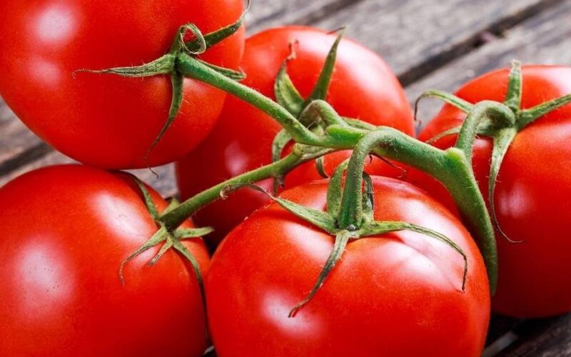 جدول أسعار الطماطم اليوم الأحد 3-12-2023 للمستهلك في سوق العبور