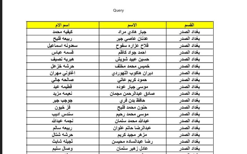 هنُا PDF الآن كشوفات أسماء المشمولين في الرعاية الاجتماعية بالعراق من موقع وزارة العمل العراقية بالهوية