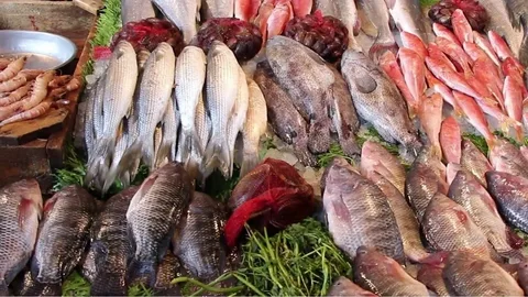 “انخفاض كبير” اسعار السمك اليوم الاحد 3 ديسمبر 2023 في الاسواق والمحلات