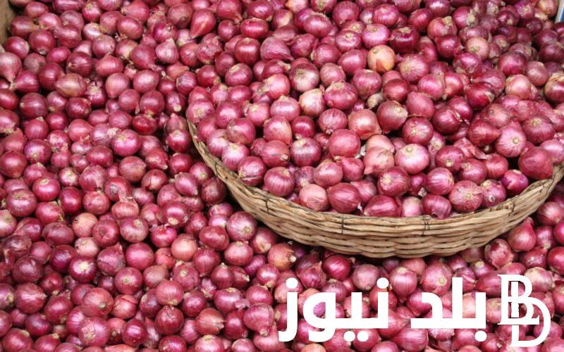انخفاض طفيف في أسعار البصل الآن في سوق العبور بتاريخ الاربعاء 27 ديسمبر 2023 للمستهلك في مصر