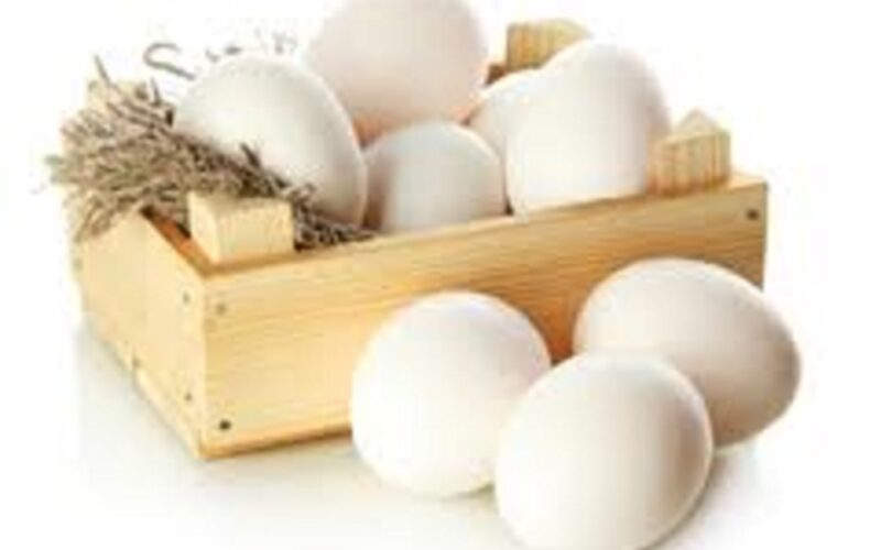 البيضة بكام؟ اسعار البيض اليوم الاحد 3 ديسمبر 2023 ” الابيض، الاحمر، البلدي” للمستهلك في مصر