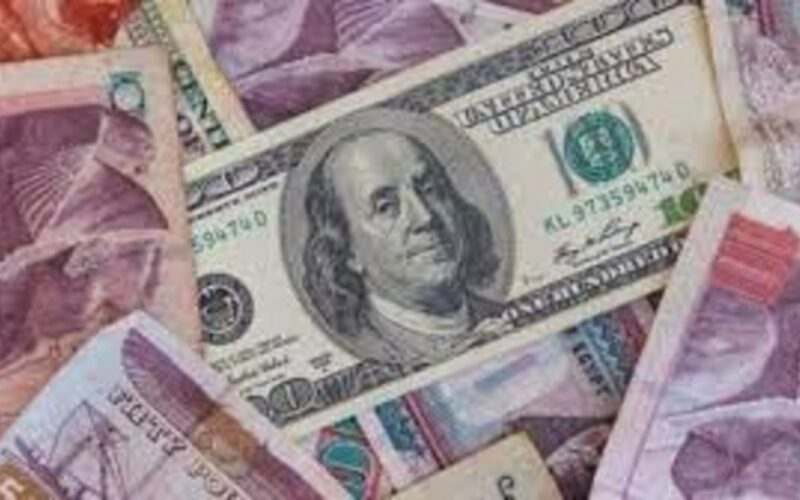 “الدولار ولع” أسعار العملات في السوق السوداء اليوم في مصر الاحد 31 ديسمبر 2023 امام الجنيه
