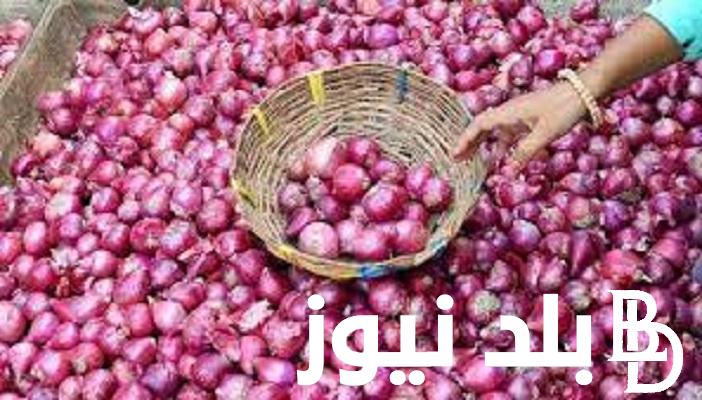 كم سعر البصل اليوم | اسعار البصل اليوم الاحد 31 ديسمبر 2023 في سوق العبور في مصر للمُستهلك