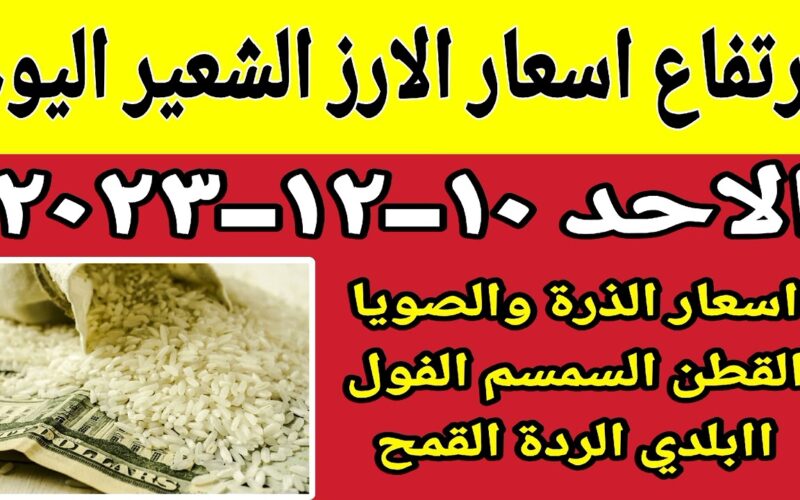 “ارتفاع جديد” سعر طن الارز الشعير اليوم الاحد 10-12-2023 والسلع الاساسية في مصر بالاسواق المحلية