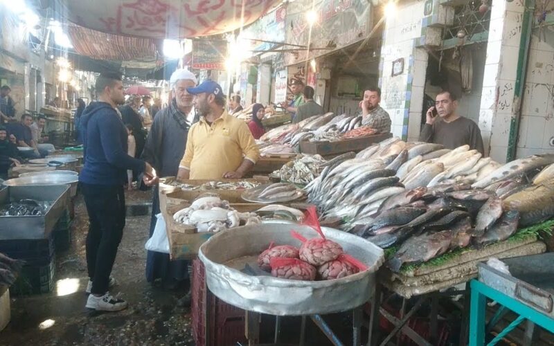 اليكم جدول أسعار السمك اليوم البلطي الثلاثاء 19-12-2023 للمستهلك في مصر