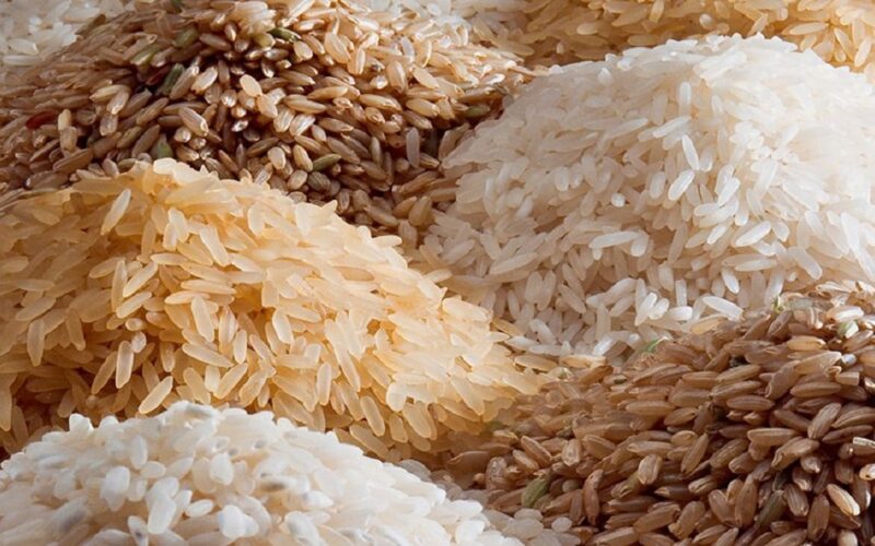 بكم طن الأرز النهاردة؟.. سعر طن الأرز الشعير اليوم الأحد 17 ديسمبر 2023 في أسواق الجملة والتجزئة للمستهلك