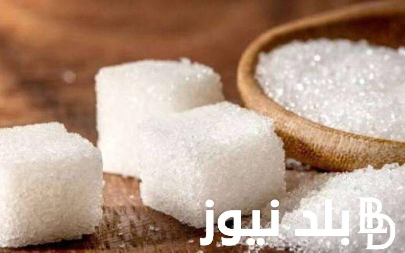 سعر كيلو السكر في السوبر ماركت وجهود الحكومة المصرية في حل أزمة ارتفاع سعر السكر
