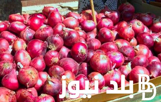 اسعار البصل في سوق العبور اليوم الاثنين 18 ديسمبر 2023 للمستهلك في مصر