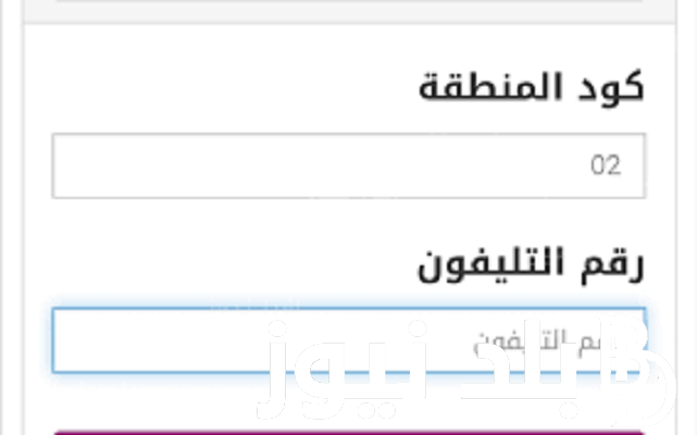 Telecom Egypt استعلام فاتورة التليفون الارضي 2023 عبر موقع المصرية للاتصالات billing.te.eg و غرامة تأخير سداد الفاتورة