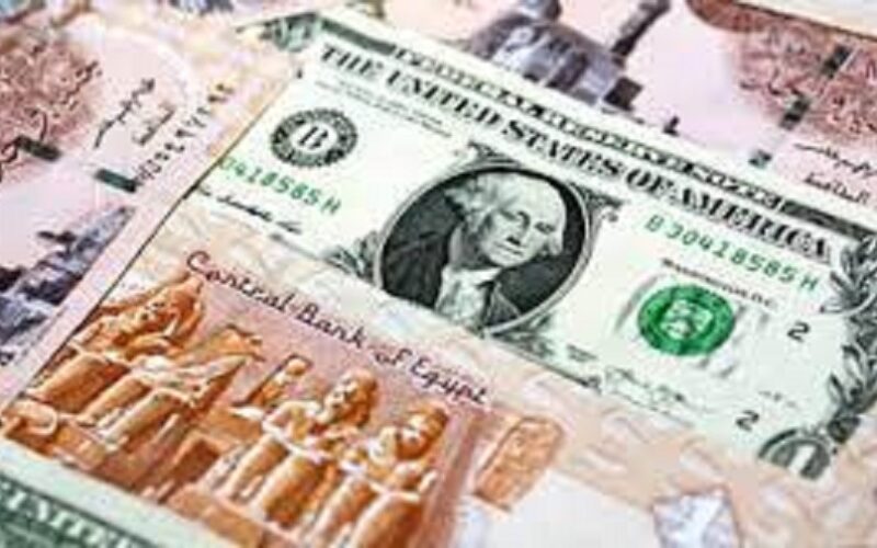 سعر الدولار في السوق السوداء في مصر اليوم السبت 23 ديسمبر 2023 امام الجنيه المصري