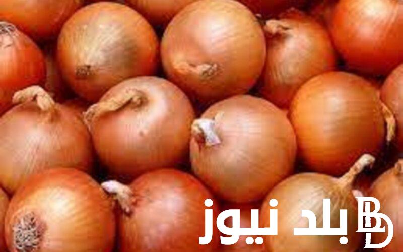 “الكيلو بكام؟” أسعار البصل اليوم في سوق العبور الثلاثاء 5 ديسمبر 2023