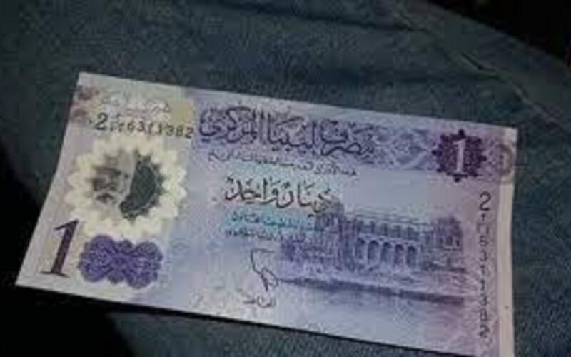 بكام؟.. سعر 100 دينار ليبي كم جنيه مصري.. تعرف الان على سعر الدينار الليبي في مصر بتاريخ 21\12\2023
