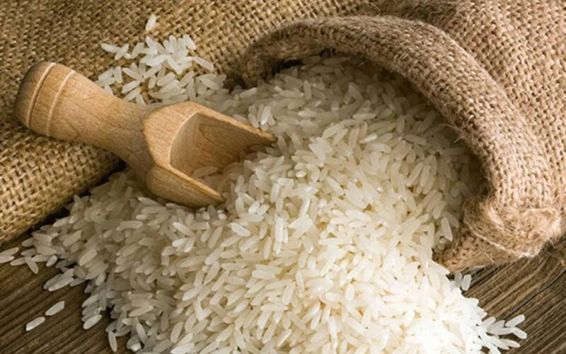 “تراجع جديد” سعر طن الأرز الشعير اليوم السبت 9 ديسمبر 2023 للمستهلك في مصر