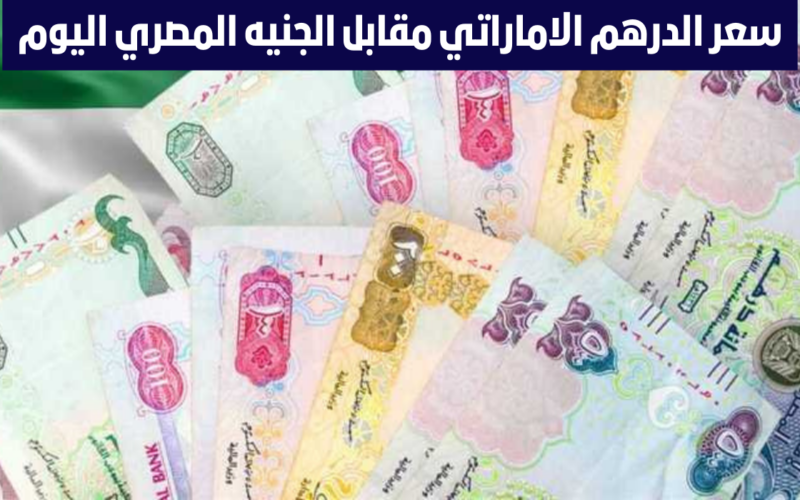 “لحظة بلحظة” سعر الدرهم الاماراتي مقابل الجنيه اليوم السبت 20 يناير 2024 في السوق السوداء وبجميع البنوك