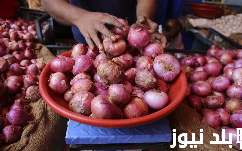 ننشر أسعار البصل اليوم في سوق العبور السبت 6 يناير 2024 بالاسواق والمحلات