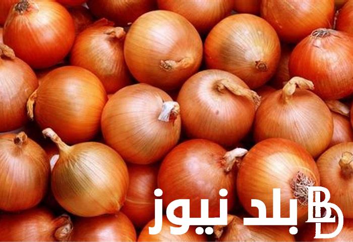 “السعر الجديد” سعر البصل اليوم الاربعاء 24/ 1/ 2024 في الاسواق المحلية وسوق العبور