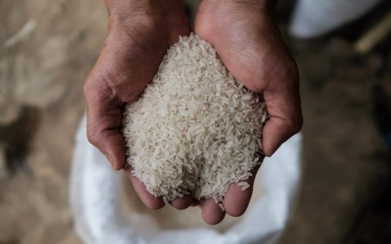 “تسعيرة جديدة” سعر طن الأرز الشعير اليوم السبت 20 يناير 2024 بالاسواق والمجمعات الاستهلاكية
