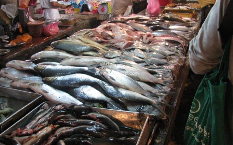 ننشُر جدول أسعار السمك اليوم البلطي السبت 27 يناير 2024 في سوق العبور