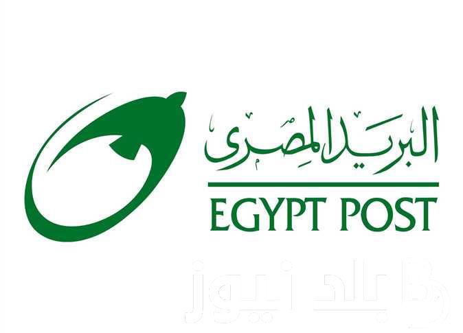 سجل الان.. التقديم لوظائف البريد المصري 2024 إلكتروني عبر موقع بوابة الوظائف الحكومية