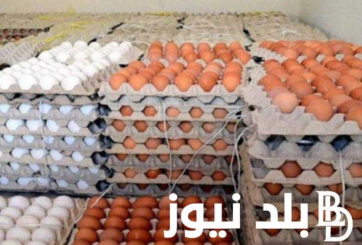 “البيضة هتعدي” سعر كرتونة البيض اليوم الأربعاء 31 يناير 2024 في جميع الأسواق التجارية