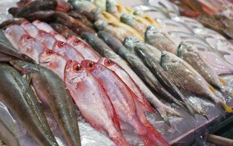 قائمة اسعار السمك اليوم الخميس 11 يناير 2024 للمستهلك في سوق العبور